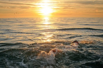 Swimmer Chloe McCardel