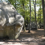 foret de fontainebleau1 ©Fred Perrot